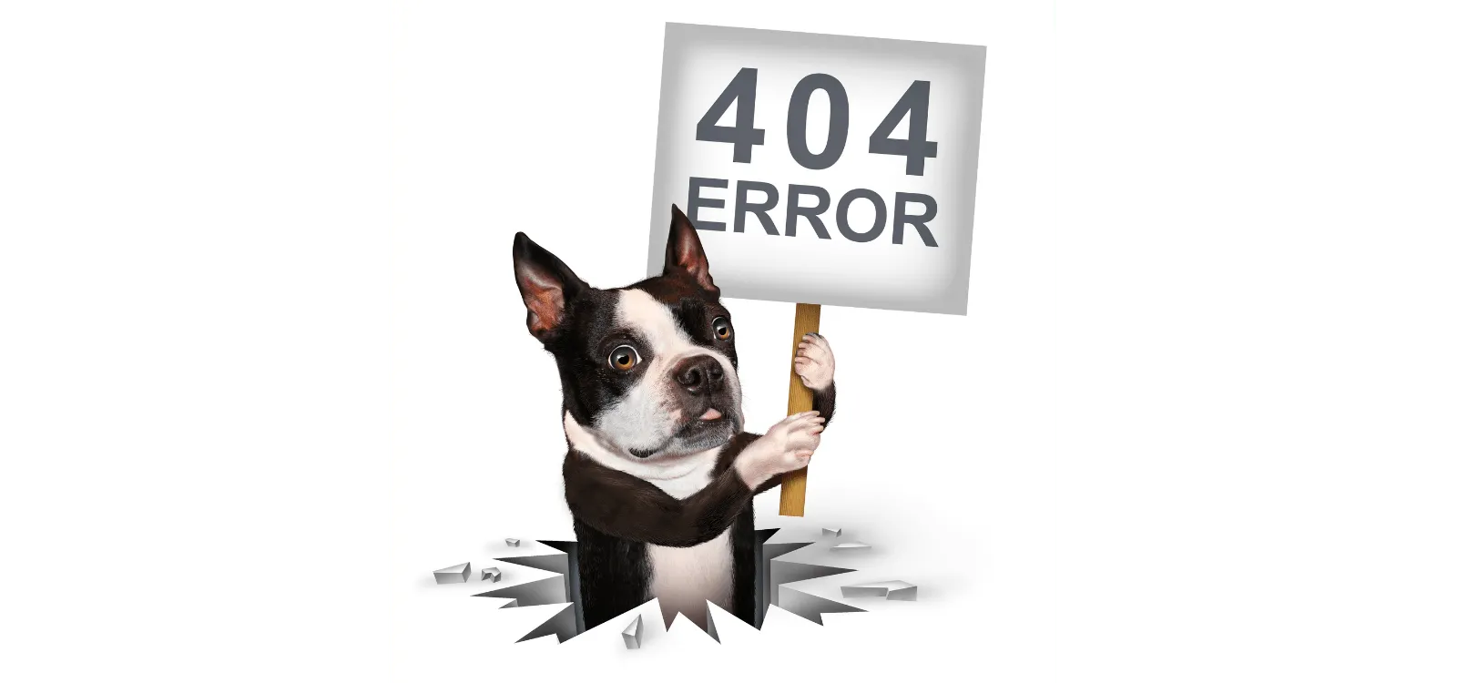 404 image