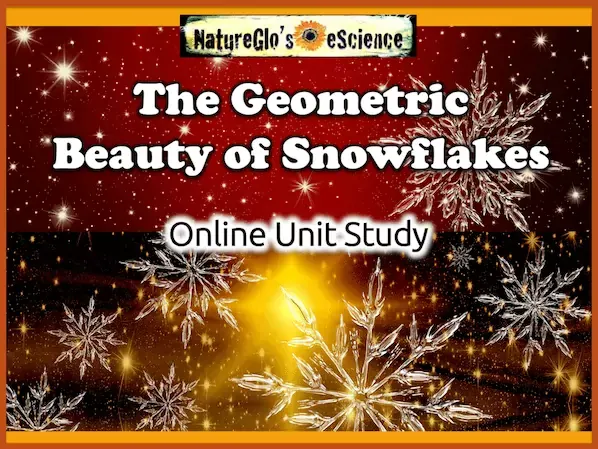 Hexagonal symmetry and fractal patterns in a snowflake crystal; cover image for the Geometric Beauty of Snowflakes MathArt online unit study.