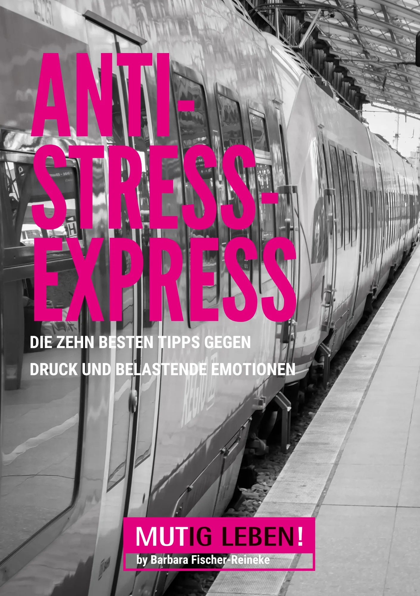 Anti-Stress-Express PDF