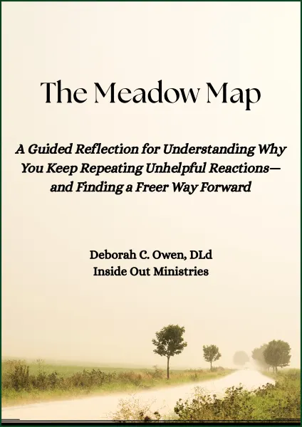 The Meadow Map cover