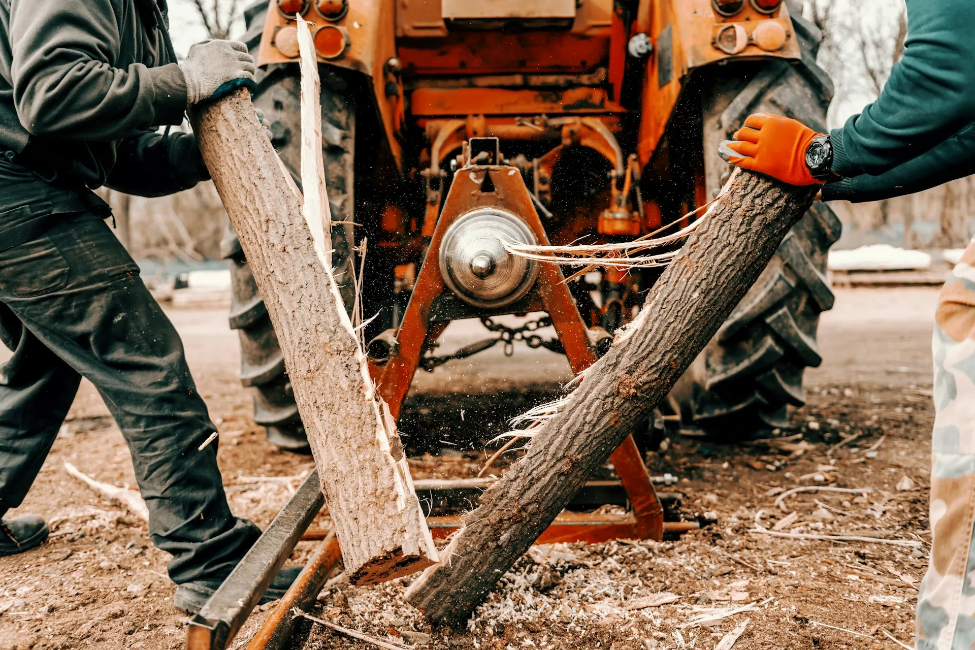 stump grinding