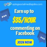 Facebook social media job