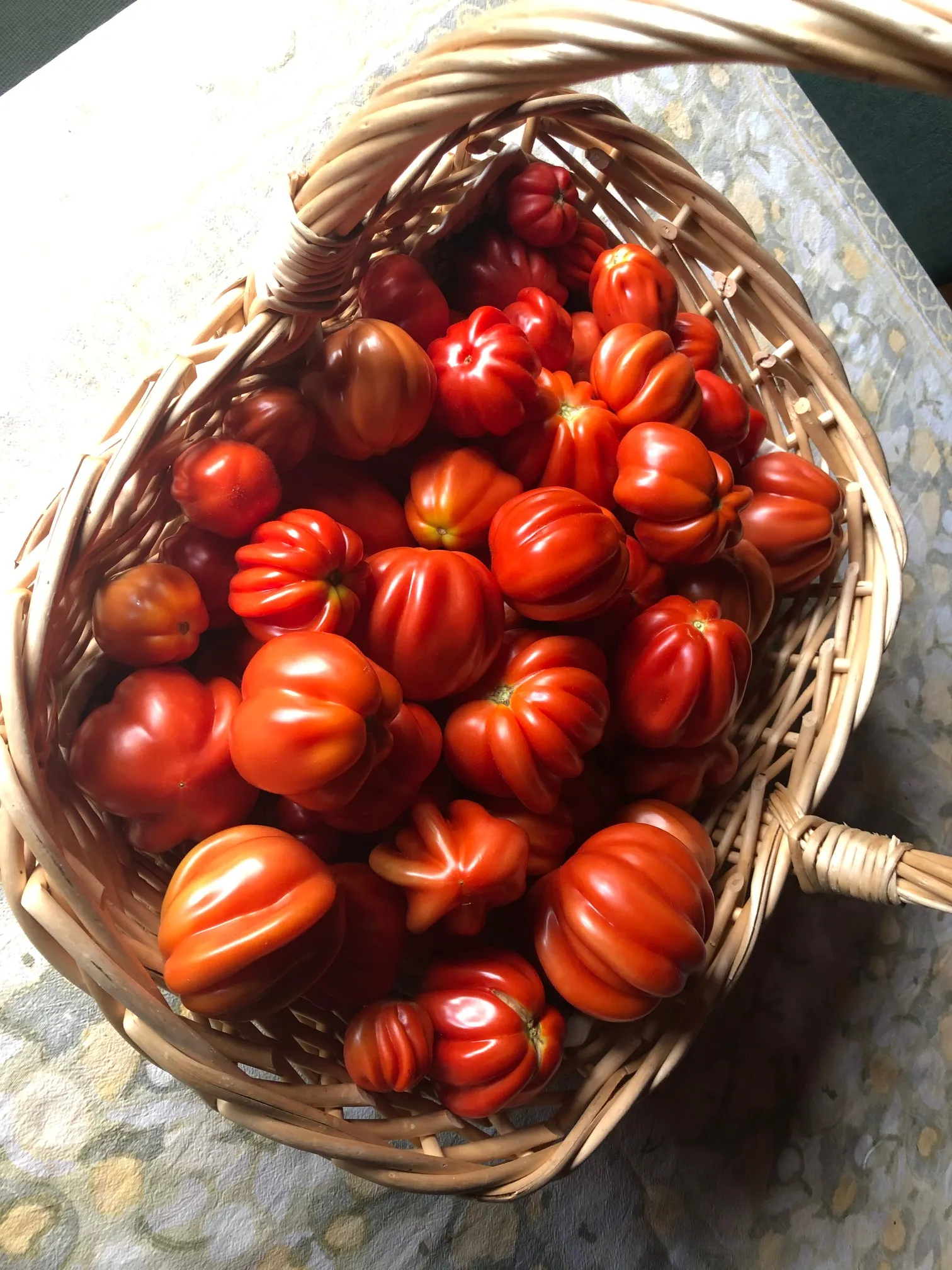 Homegrown tomatoes from Roxanne's garden