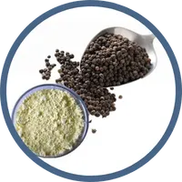 Piperine 
