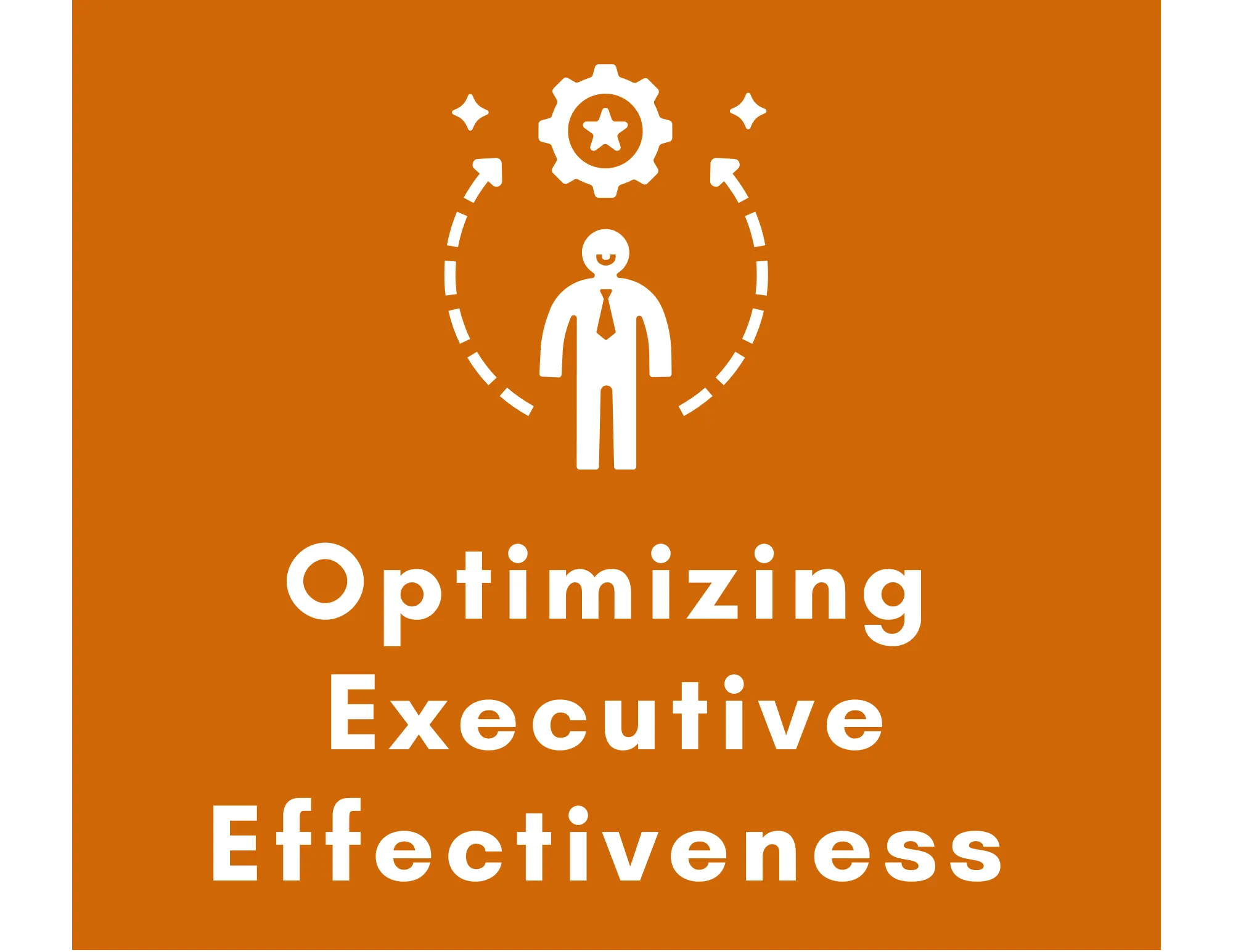 Optimizing Executive Effectiveness