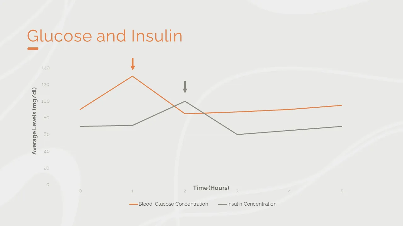 Normal blood glucose levels and insulin response