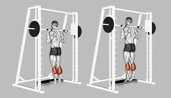 A man doing smith machine calf raises. He is shown in both the plantar flexed and dorsiflexed positions.