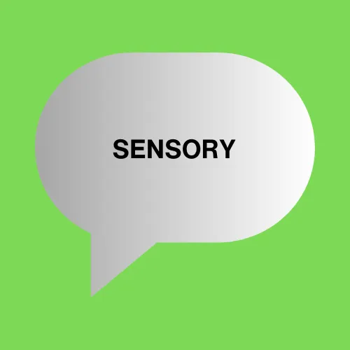 sensory disabilities icon