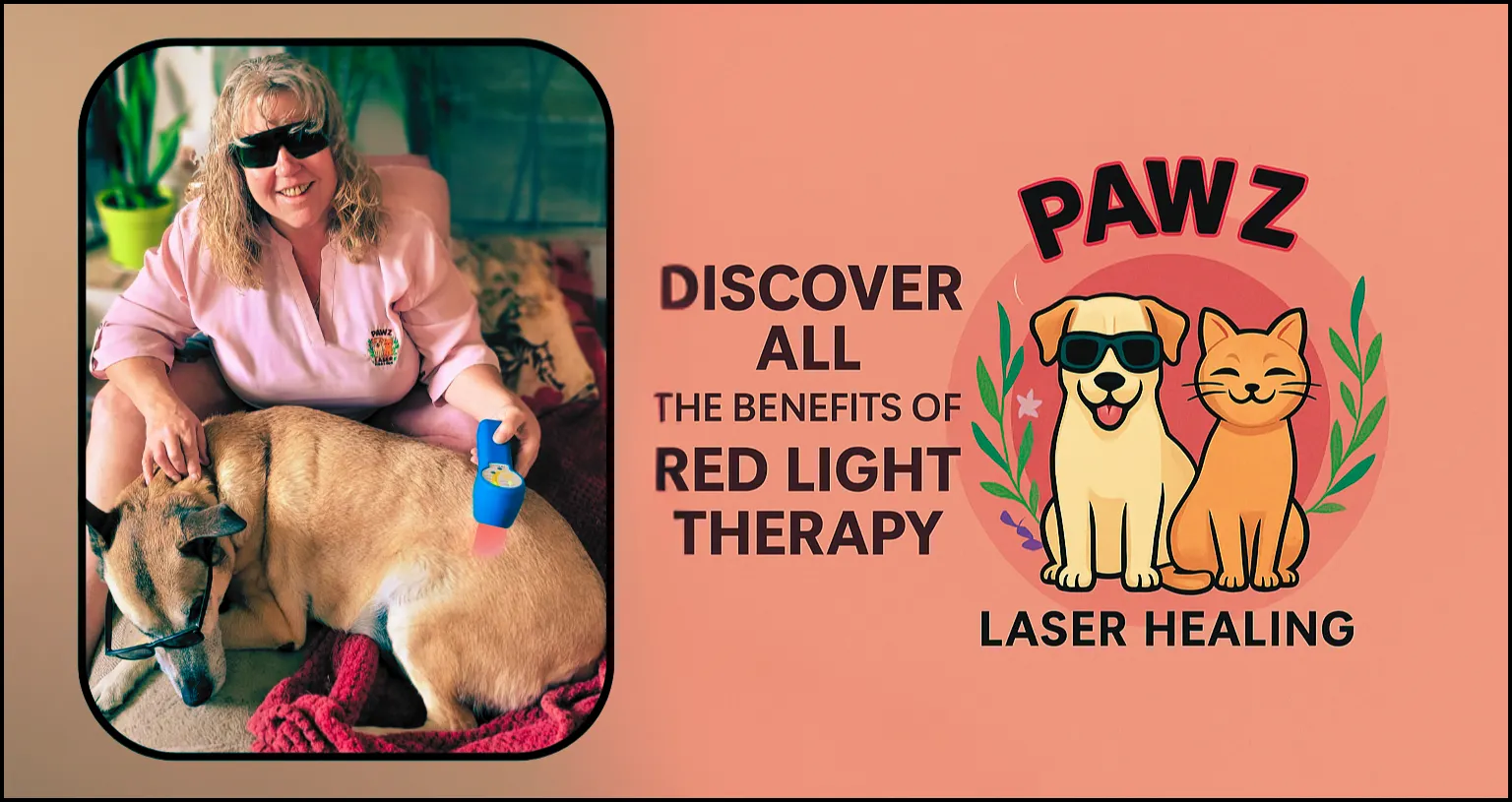 entle laser therapy session for pets in Kamloops BC