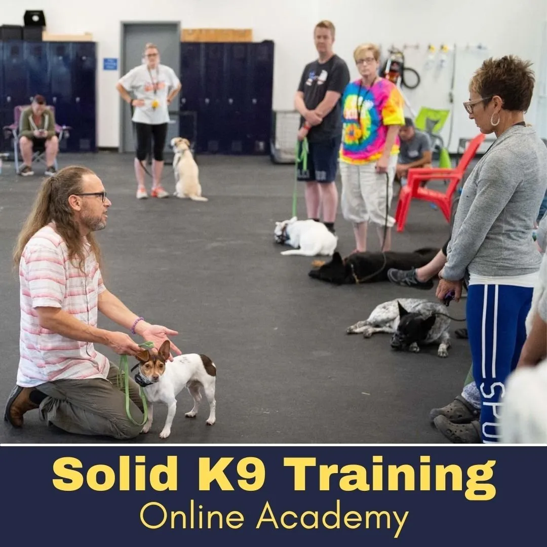 Solid K9 Training Online Academy