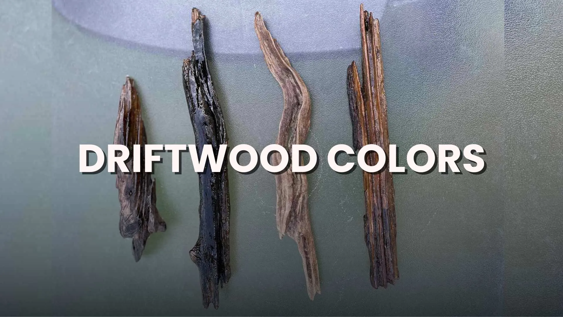 driftwood colors