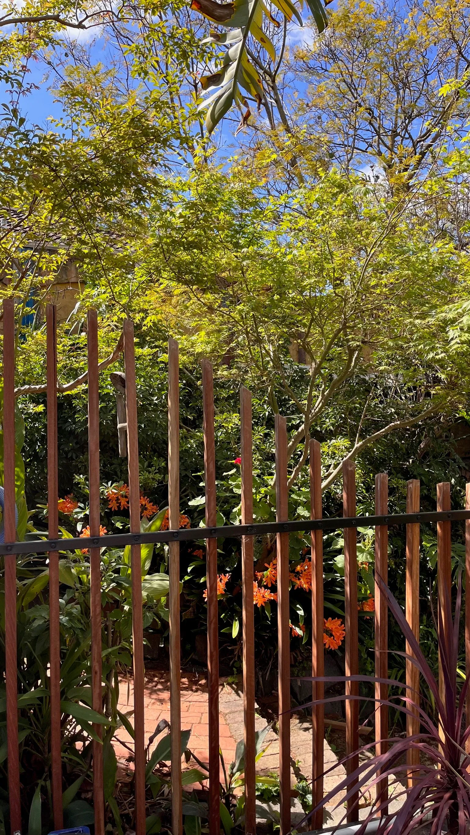 Garden arbours and pergolas