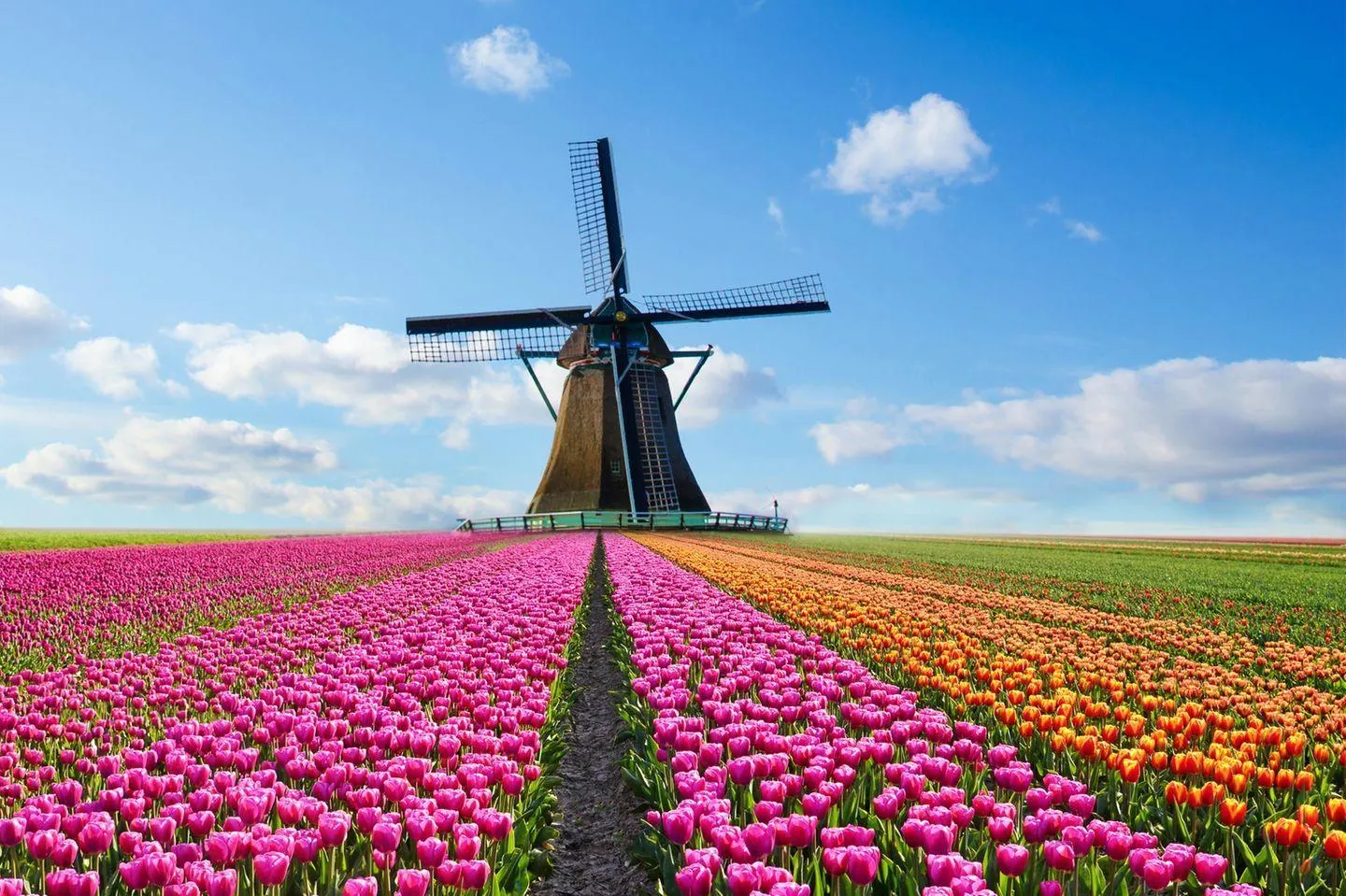 Netherlands photo