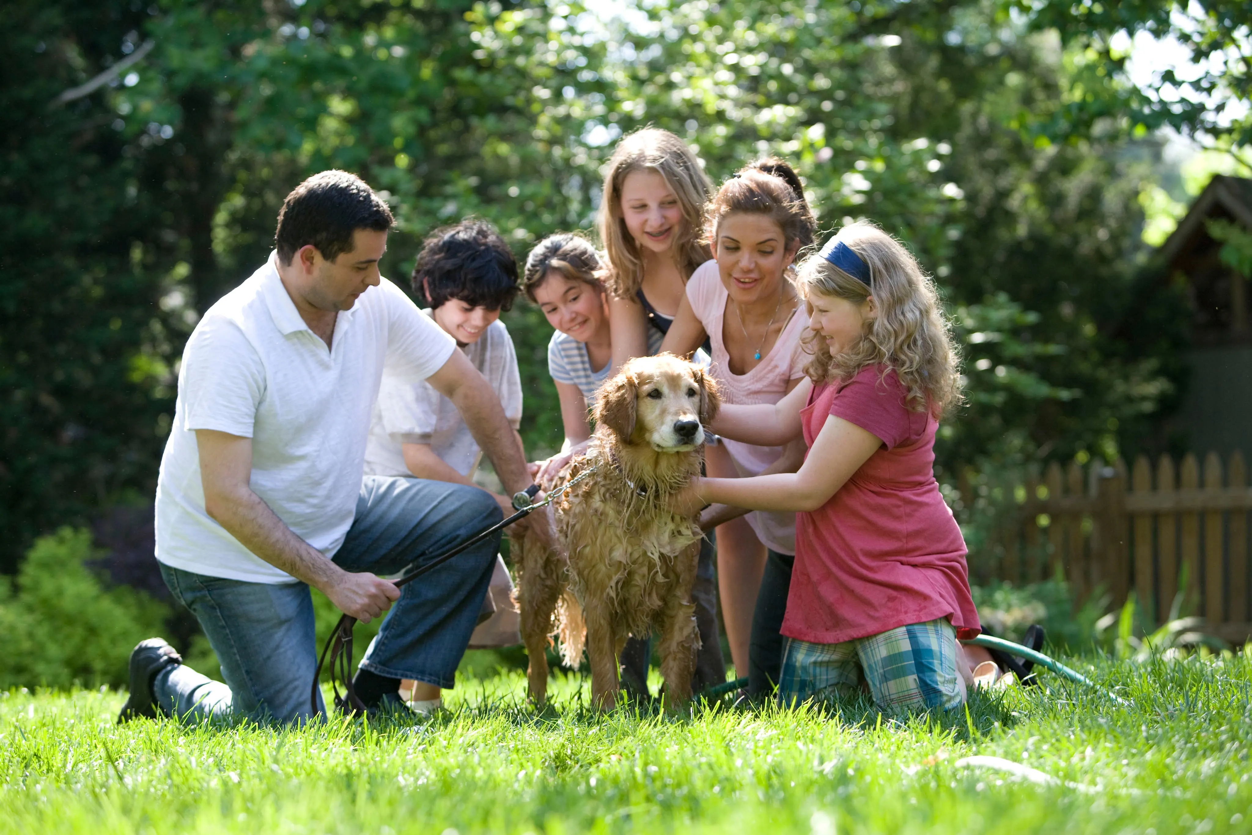 Holistic Medicine for the whole family