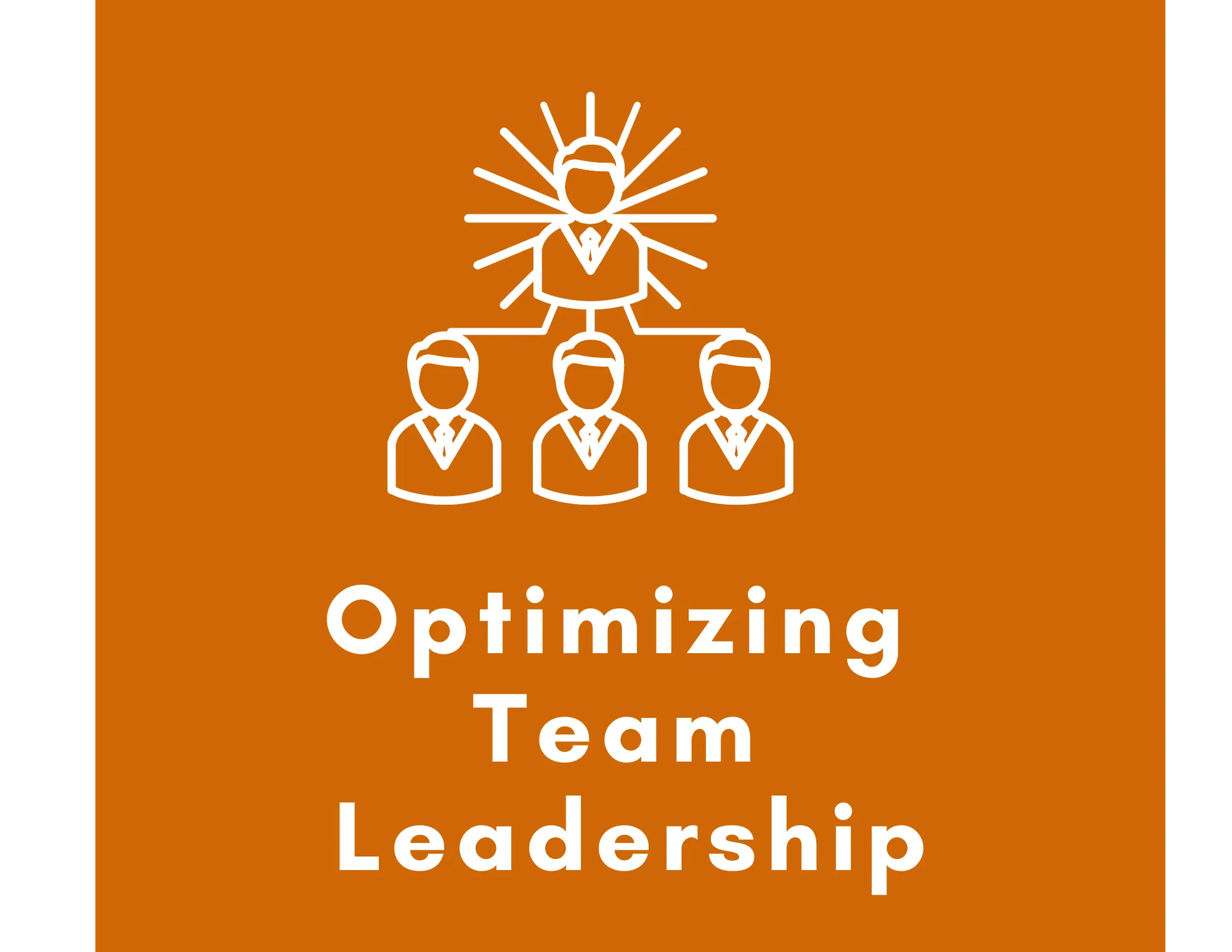 Optimizing Team Leadership