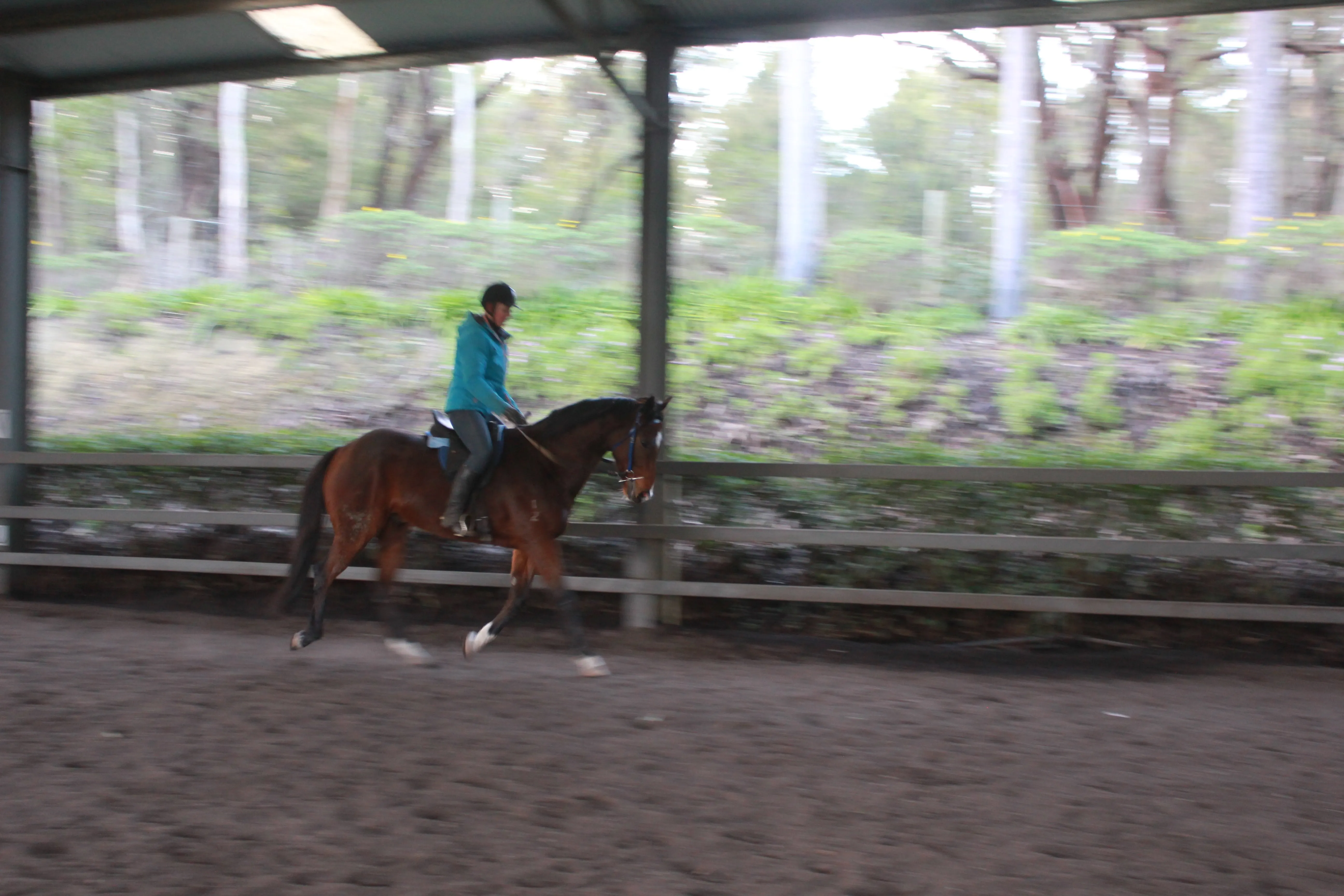 Joe being ridden after his training and holding himself in a light and balanced posture