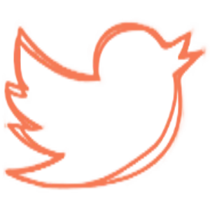 Matthew Storer Twitter