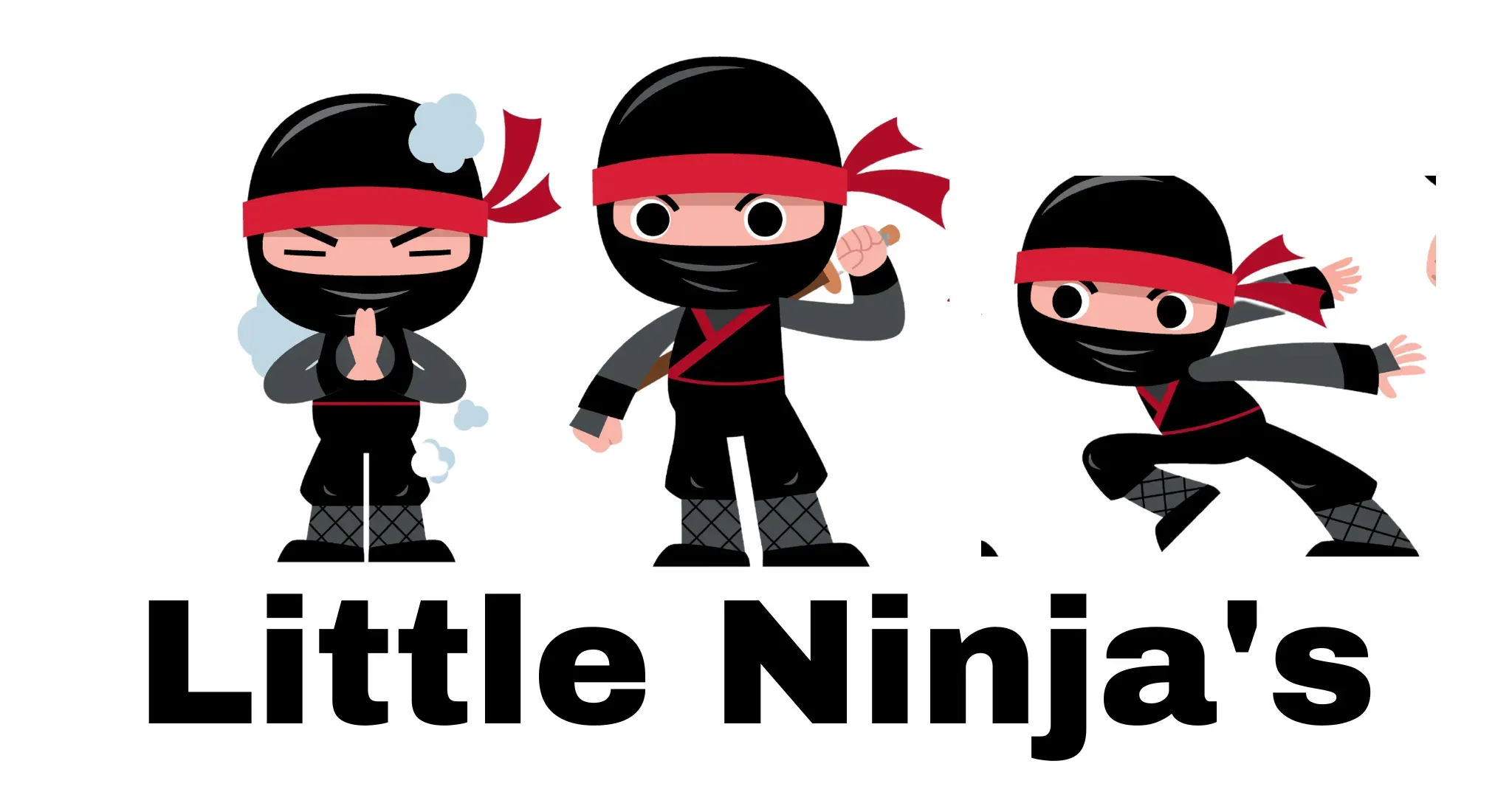 Little Ninja's