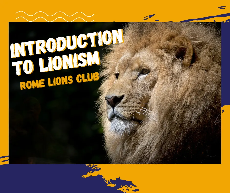 Introduction to Lionism