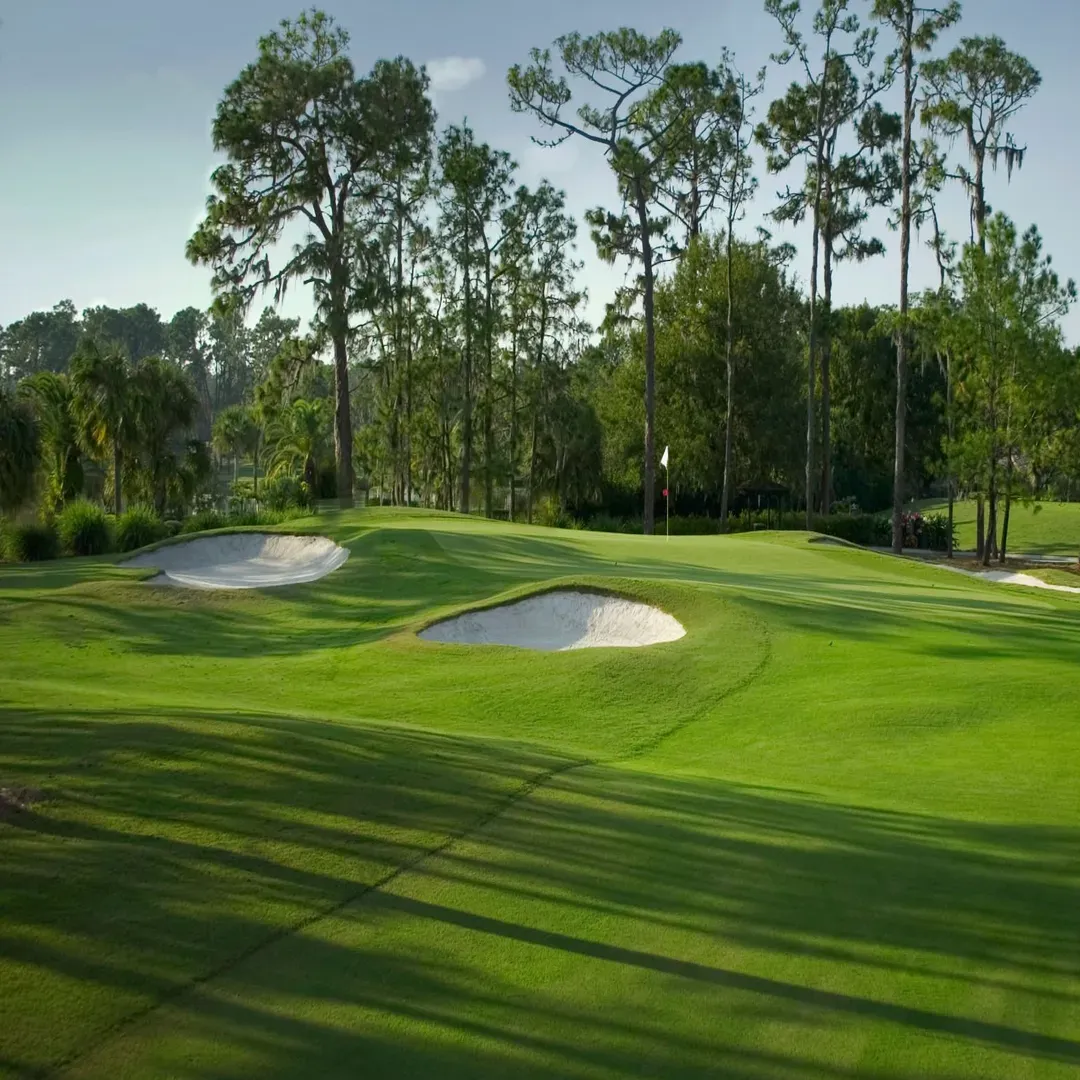 Disney Estate Golf Course
