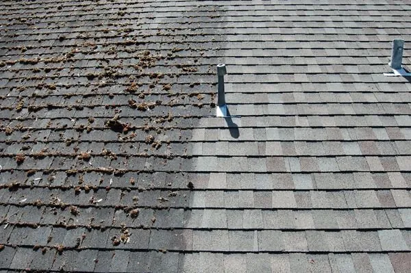 Roof Cleaning