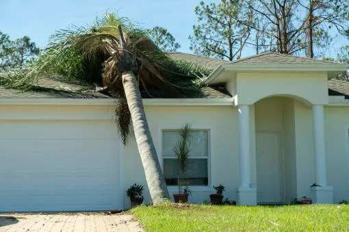 emergency tree services miami