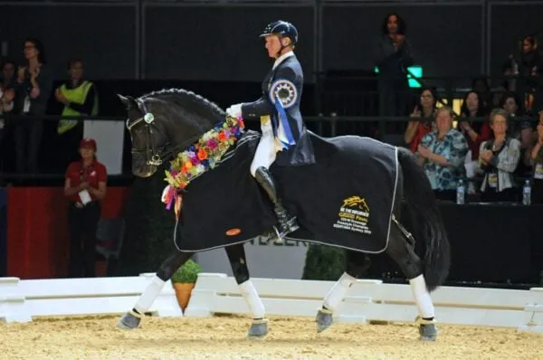 Heath Ryan, FEI competitor and horse trainer. Available for clinics 4 times a year at Avoca Park.