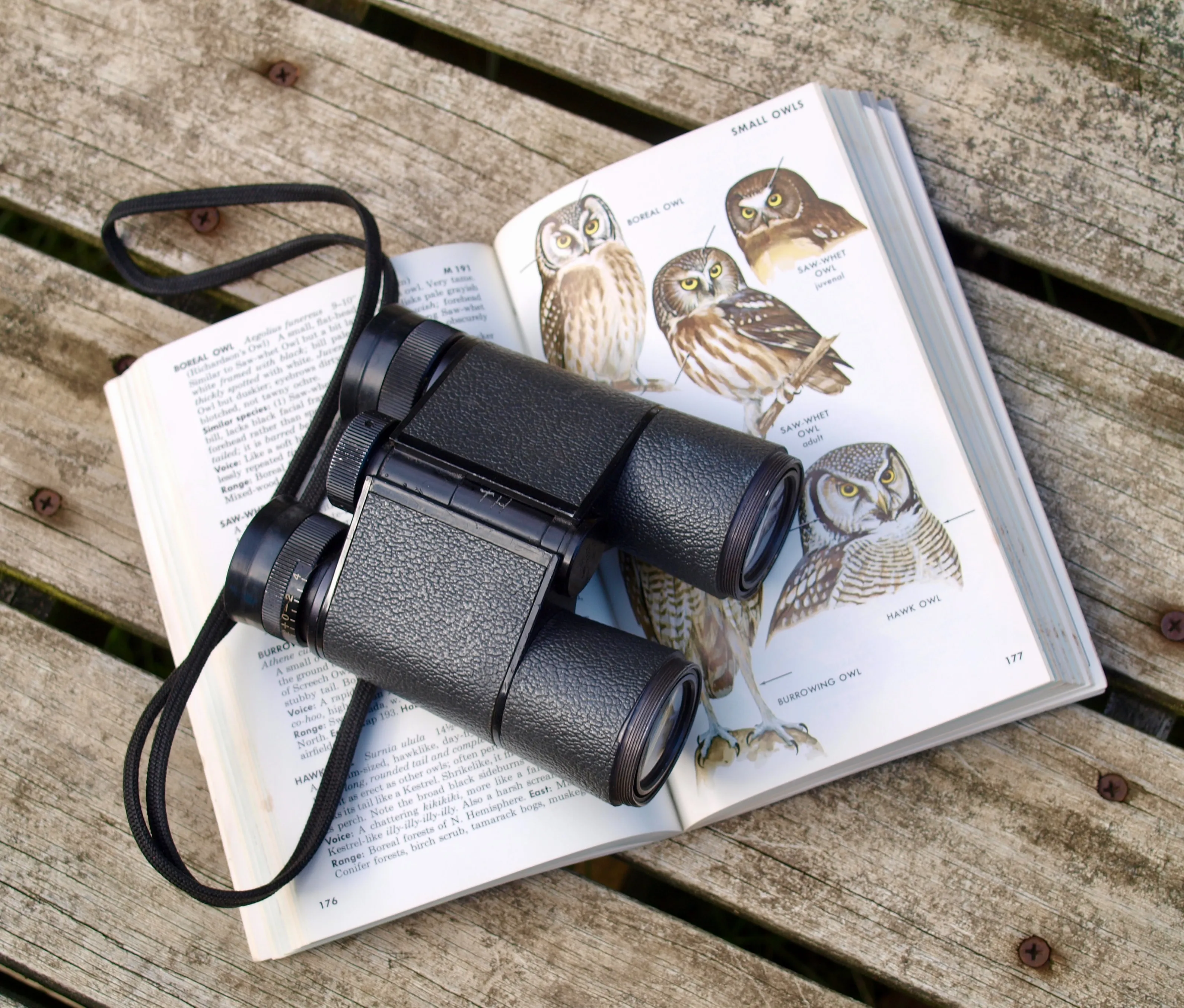 Bird watching binoculars