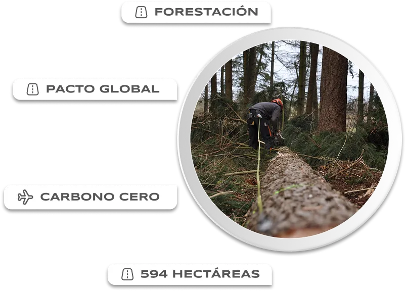 SERVICIOS FORESTALES