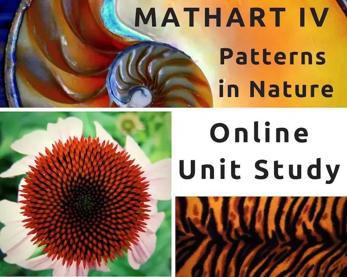 MathArt™ IV - Patterns in Nature