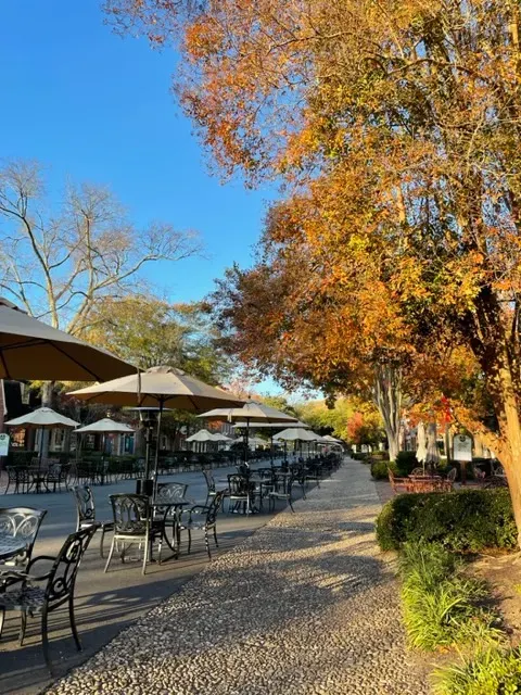 fall view in Merchant's Square, Williamsburg Virginia