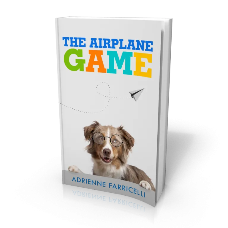 The Airplane Game