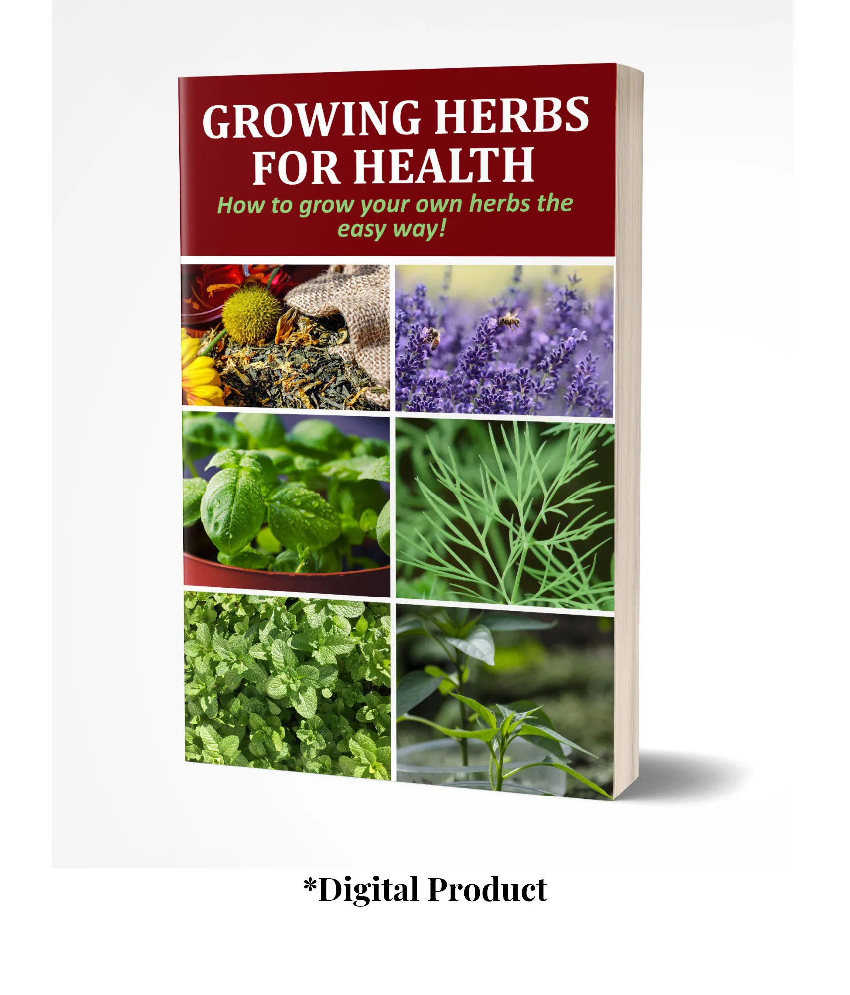 Growing Herbs For Health