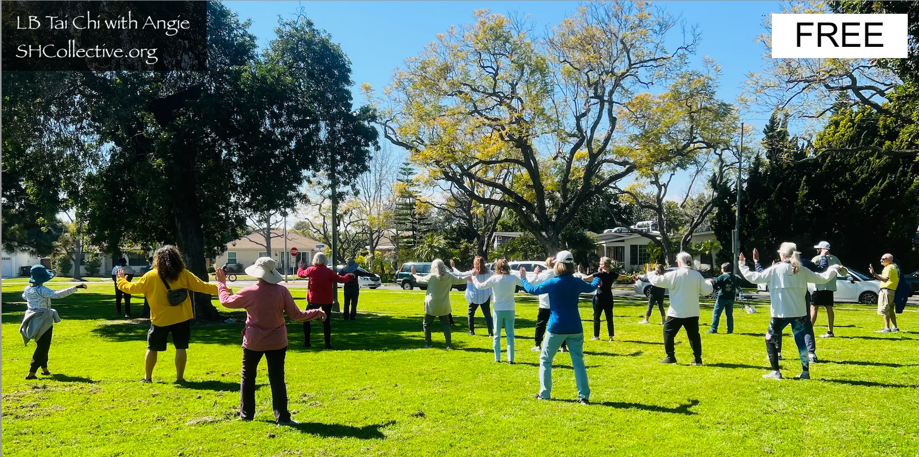 tai chi long beach for beginners class posing a movement at the park
