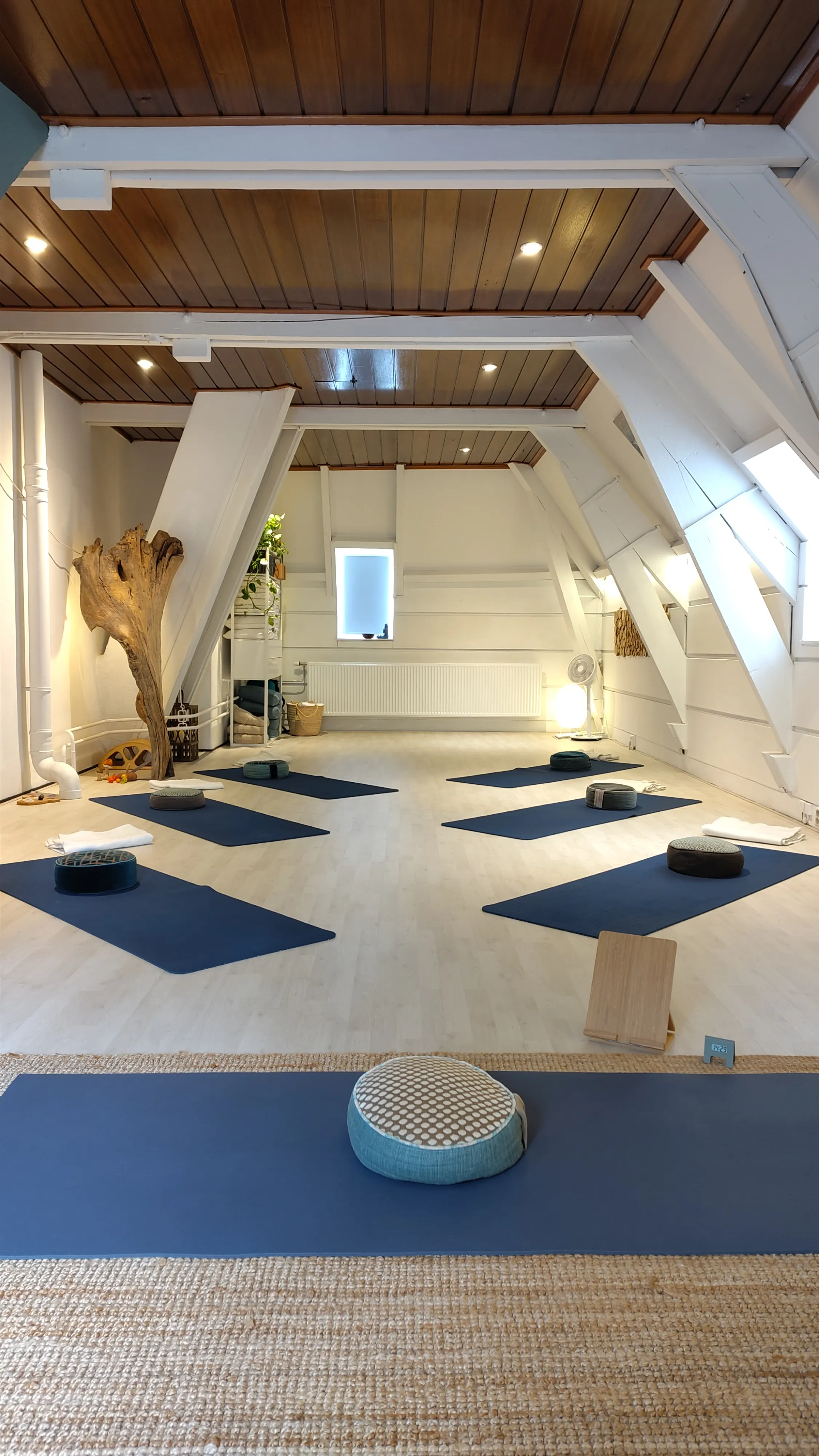 hatha yoga