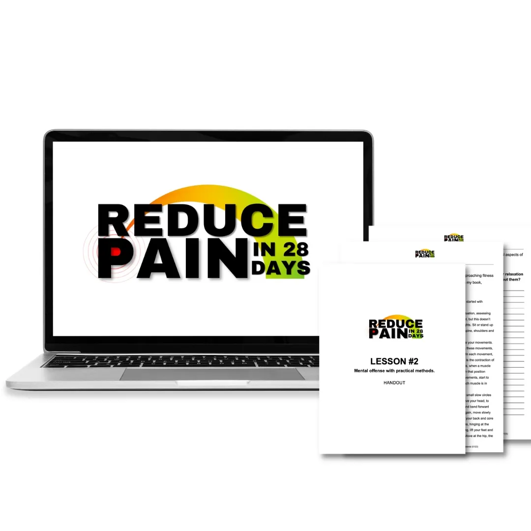 REDUCE PAIN IN 28 DAYS GRAPHICS ON A COMPUTER SCREEN AND HANDOU