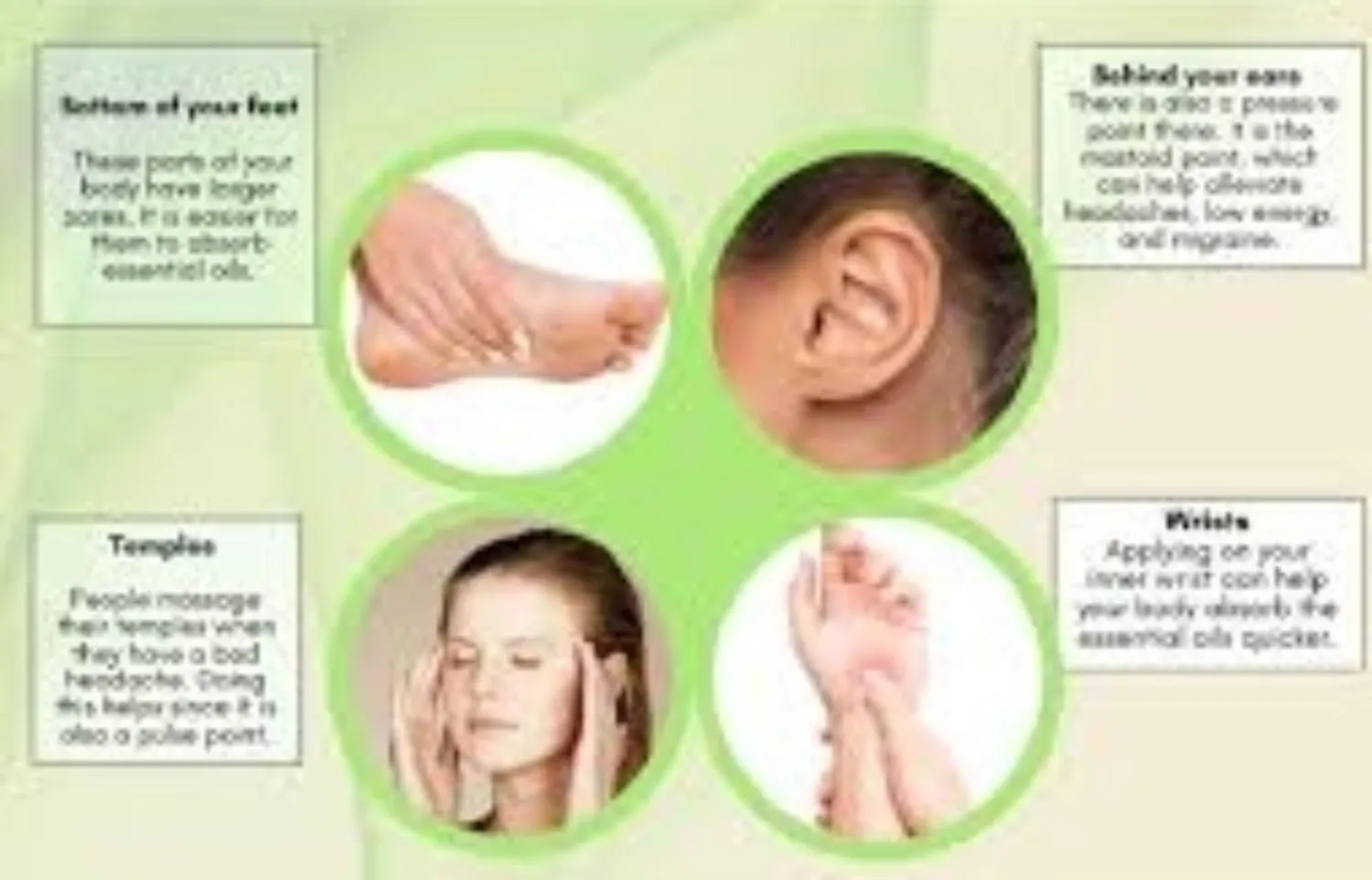 Pulse Points for Essential Oils