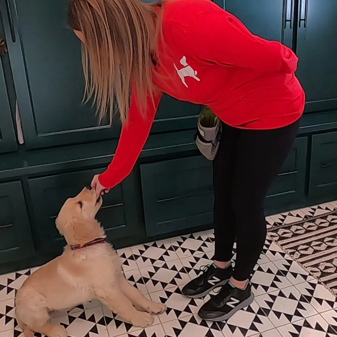 Jena Newman positive reinforcement puppy training sit Newman's Dog Training