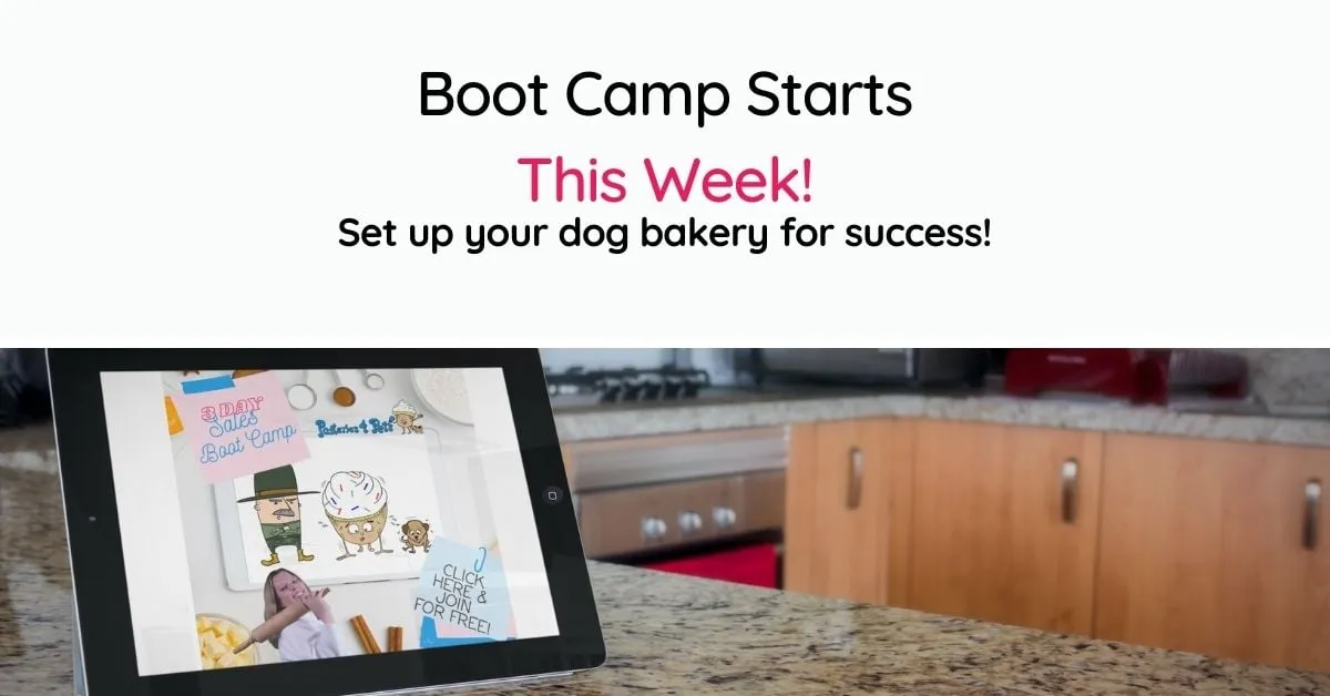 dog bakery training flyer