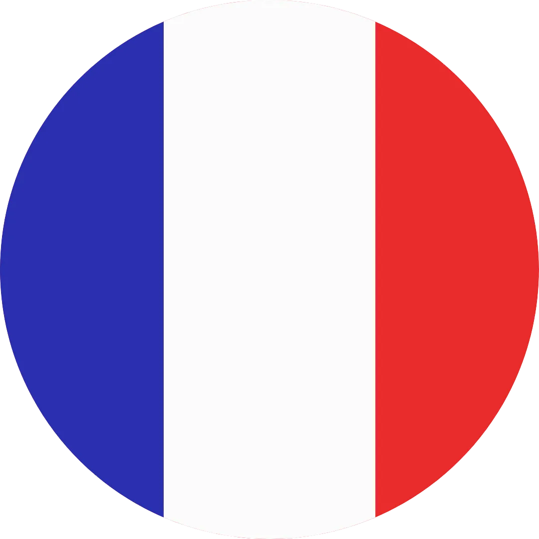 bandera francia e3reset.com