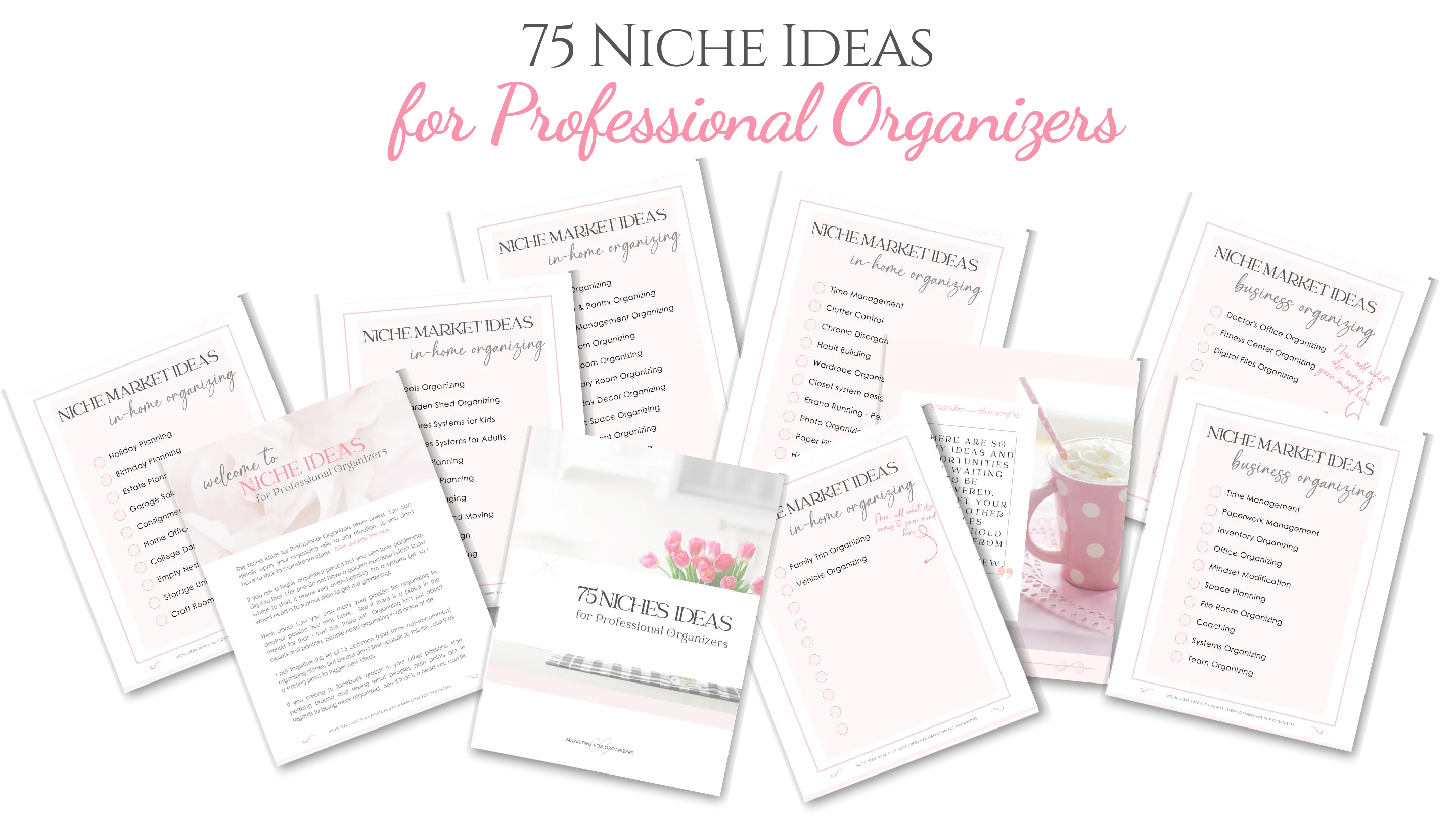 75 Niche Ideas for Pro Organizers