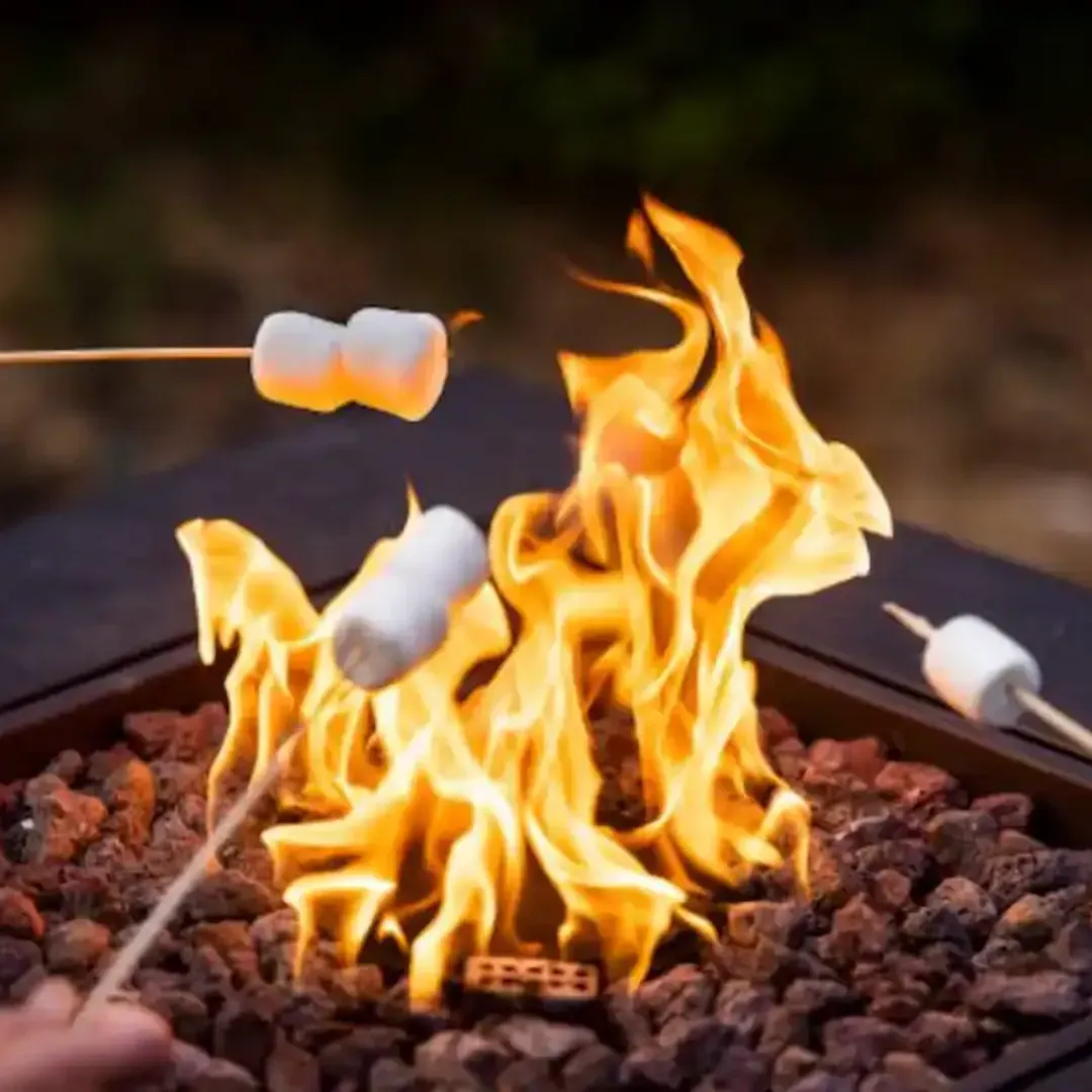 marshmallow roasting with provided sticks