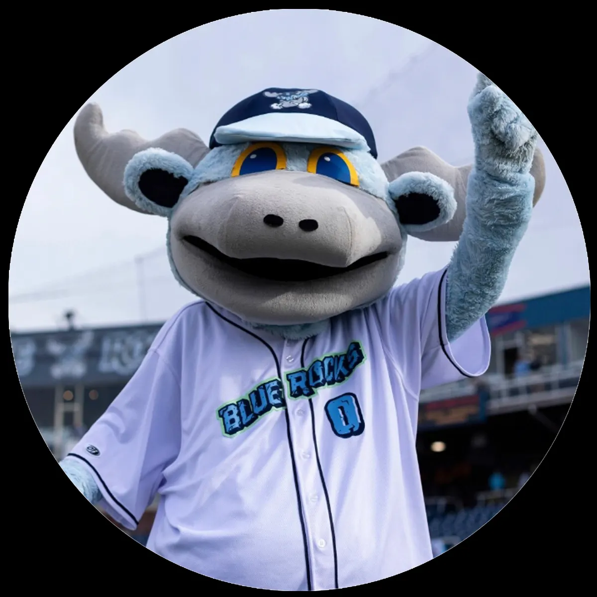 Rocky Bluewinkle