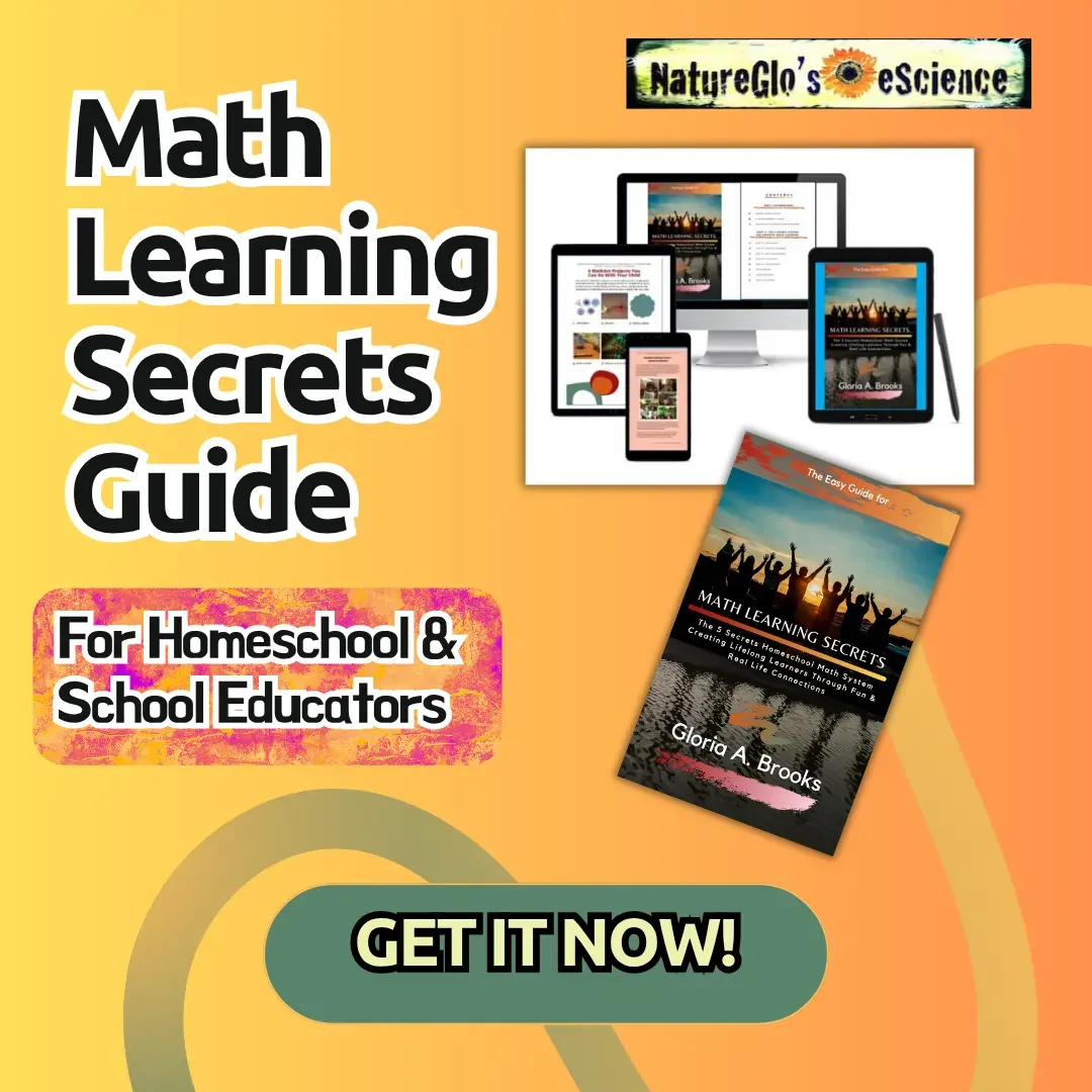 homeschool math learning secrets guide