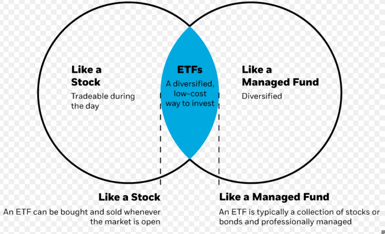 Etf Grocery Stores