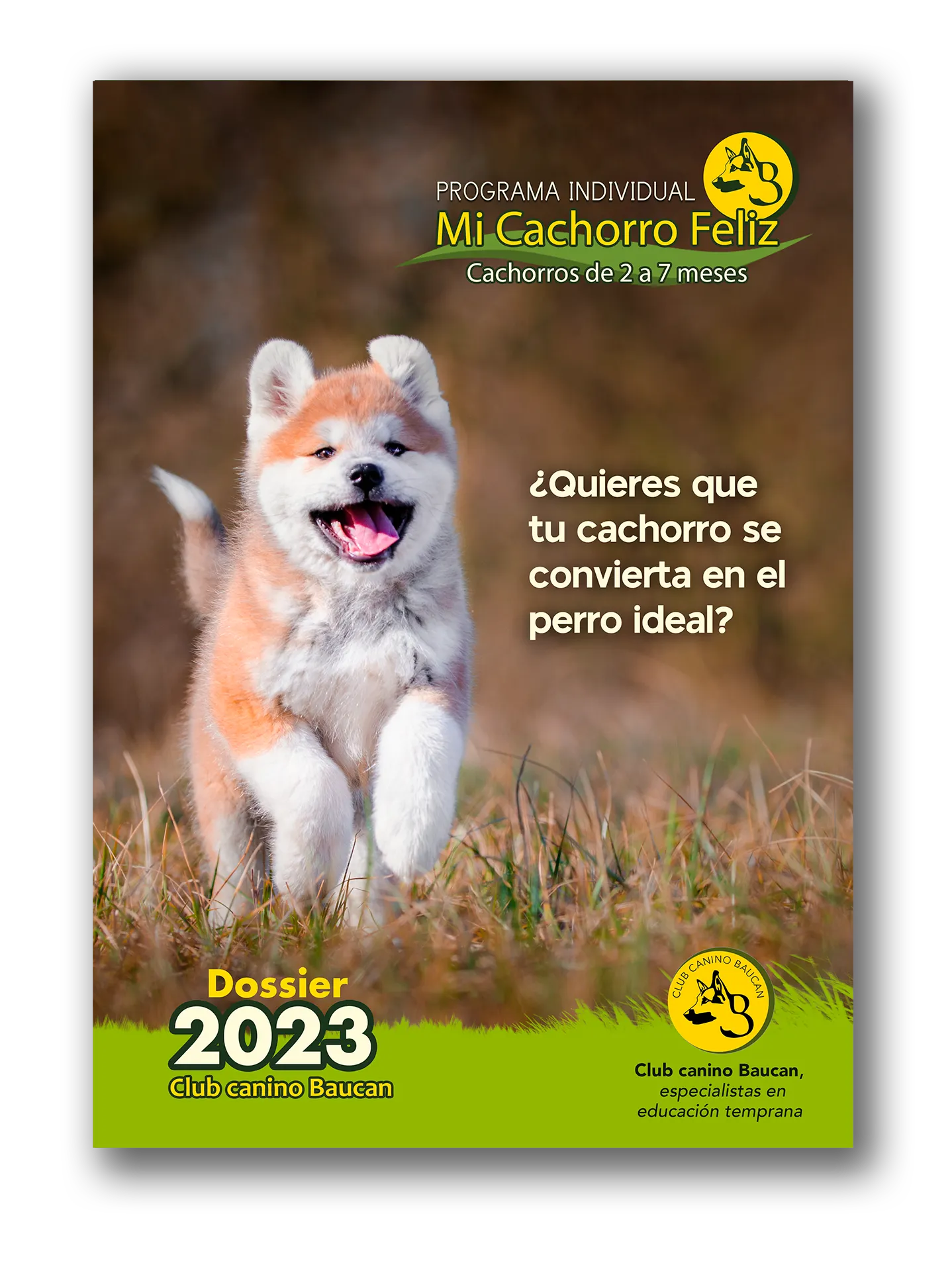 Dossier programa individual Mi cachorro feliz