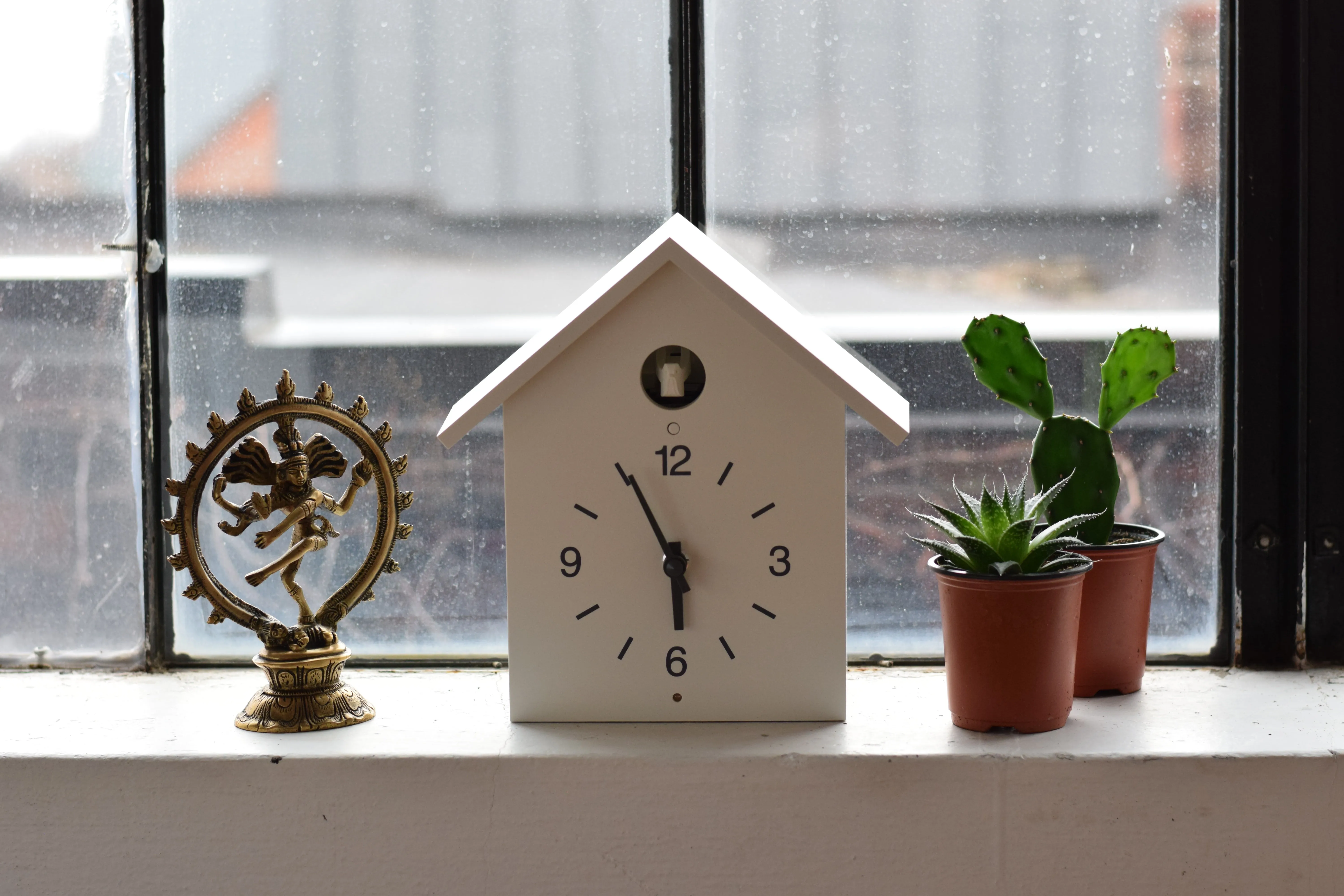 mindfulness clock and plants