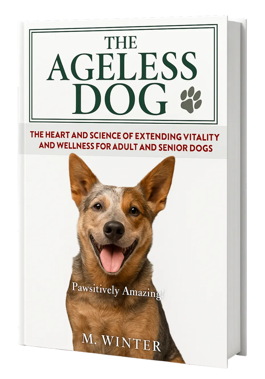 Vitality & Wellness Book