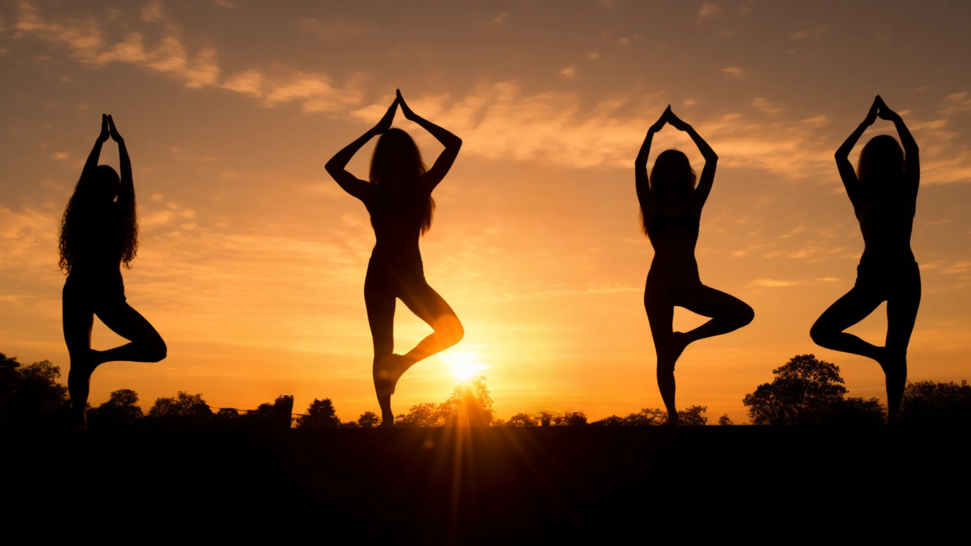 silhouettes of diverse group of people different body types and styles practicing various yoga poses at sunrise