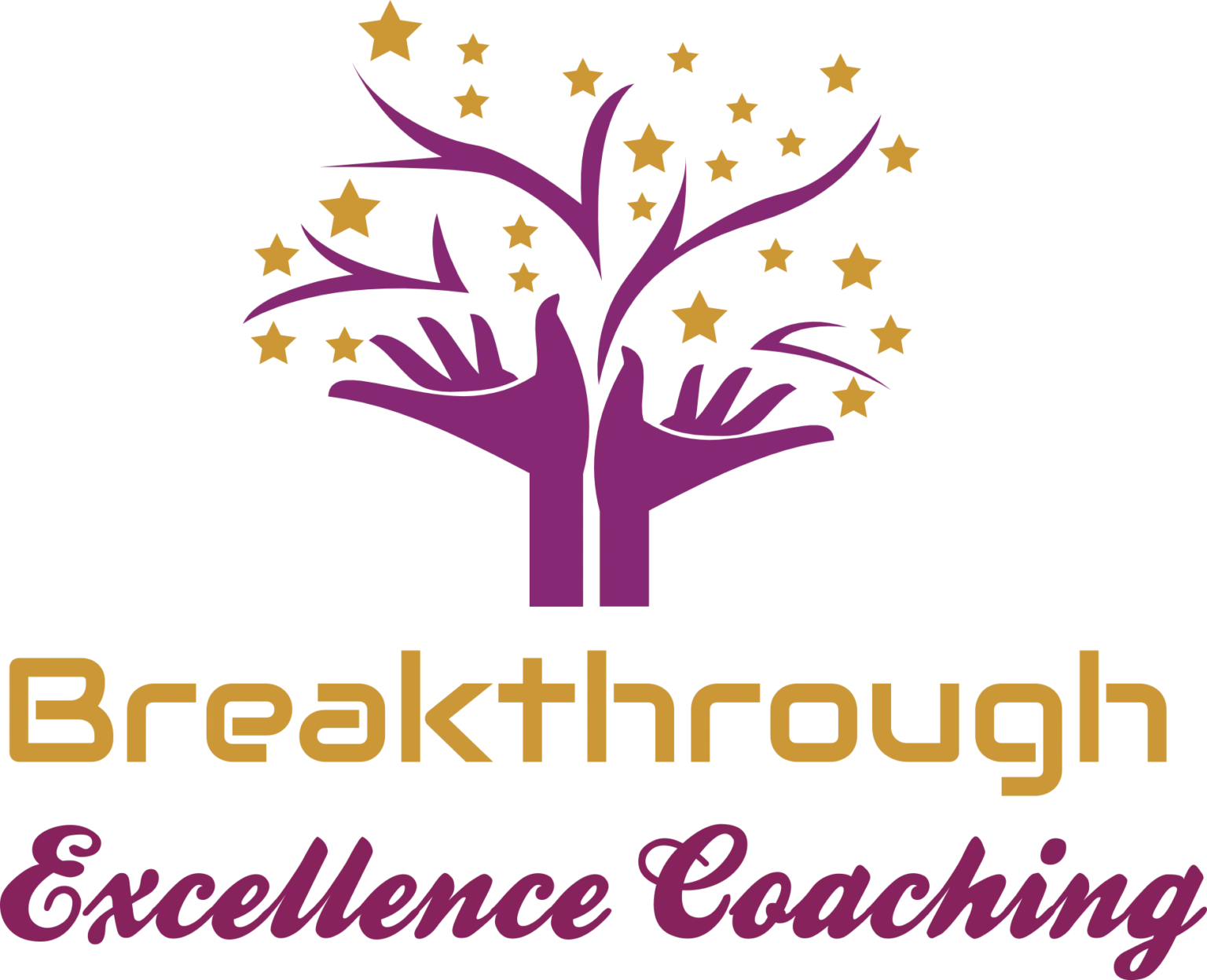 Breakthrough Excellence Coaching